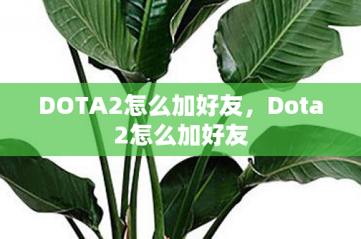 DOTA2怎么加好友,Dota2怎么加好友 DOTA2怎么加好友,Dota2怎么加好友