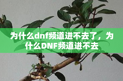 为什么dnf频道进不去了,为什么DNF频道进不去 为什么dnf频道进不去了,为什么DNF频道进不去