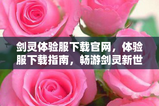 剑灵体验服下载官网，体验服下载指南，畅游剑灵新世界