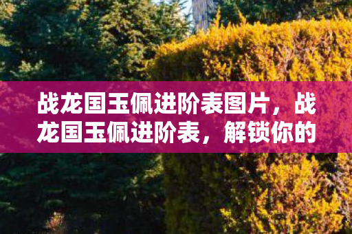 战龙国玉佩进阶表图片，战龙国玉佩进阶表，解锁你的传奇之路
