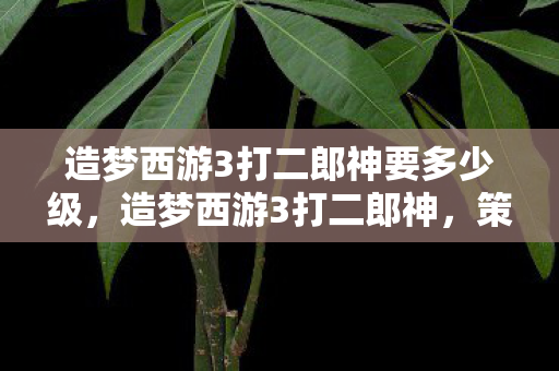 造梦西游3打二郎神要多少级，造梦西游3打二郎神，策略与技巧的深度剖析