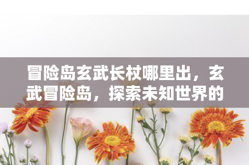 冒险岛玄武长杖哪里出，玄武冒险岛，探索未知世界的奇幻之旅