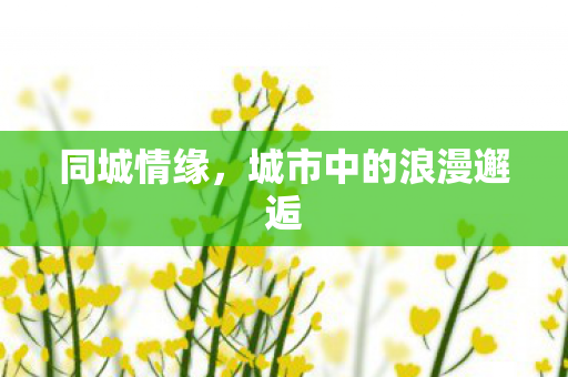 同城情缘，城市中的浪漫邂逅