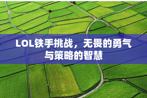 LOL铁手挑战，无畏的勇气与策略的智慧