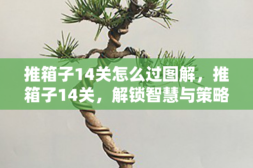 推箱子14关怎么过图解，推箱子14关，解锁智慧与策略的迷宫挑战