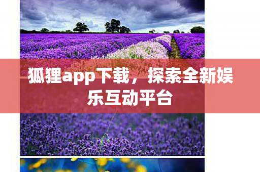 狐狸app下载，探索全新娱乐互动平台