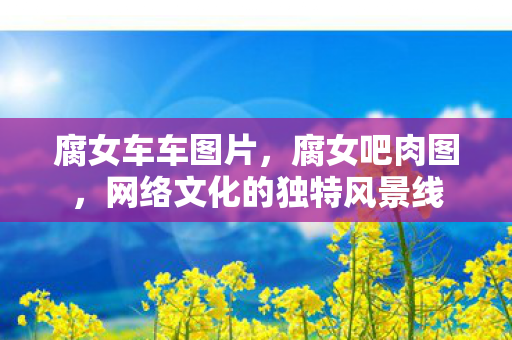 腐女车车图片，腐女吧肉图，网络文化的独特风景线