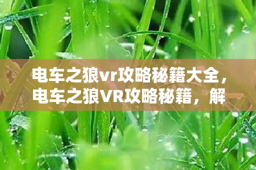 电车之狼vr攻略秘籍大全，电车之狼VR攻略秘籍，解锁隐藏剧情与角色互动