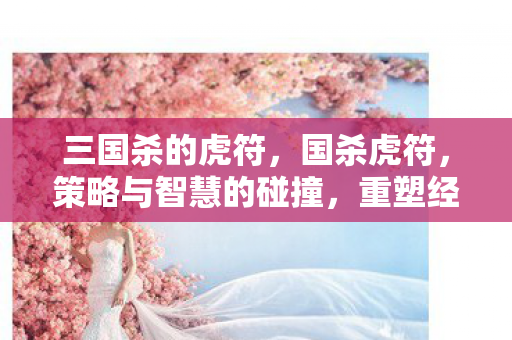 三国杀的虎符，国杀虎符，策略与智慧的碰撞，重塑经典桌游新体验