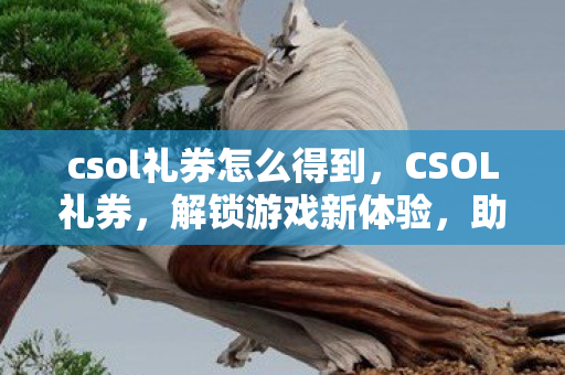 csol礼券怎么得到，CSOL礼券，解锁游戏新体验，助力玩家畅游虚拟世界