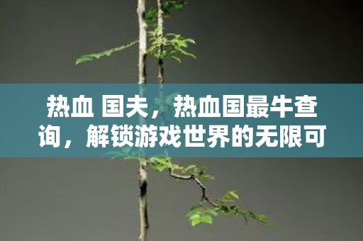 热血 国夫，热血国最牛查询，解锁游戏世界的无限可能