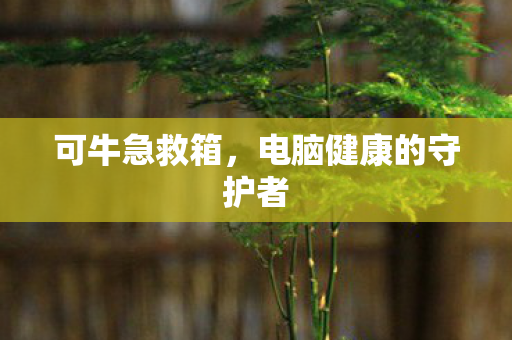 可牛急救箱,电脑健康的守护者 可牛急救箱,电脑健康的守护者