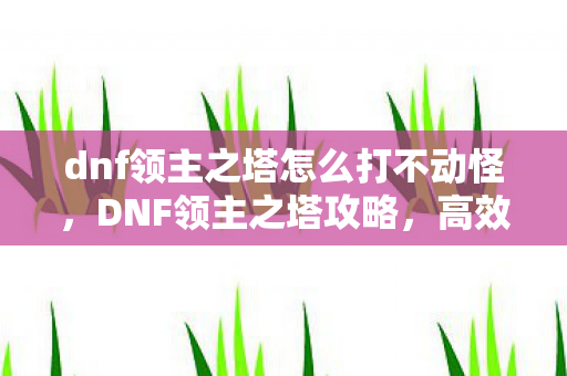 dnf领主之塔怎么打不动怪,DNF领主之塔攻略,高效通关技巧与策略 dnf领主之塔怎么打不动怪,DNF领主之塔攻略,高效通关技巧与策略