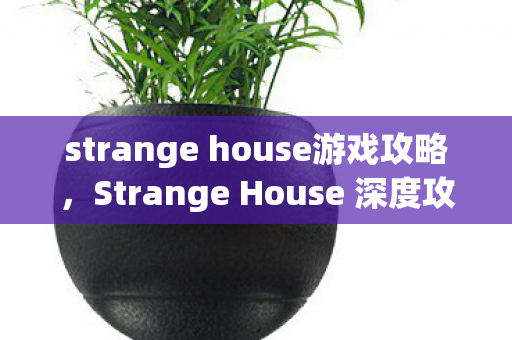 strange house游戏攻略,Strange House 深度攻略,解锁隐藏彩蛋与神秘房间 strange house游戏攻略,Strange House 深度攻略,解锁隐藏彩蛋与神秘房间