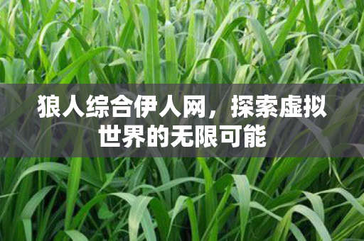 狼人综合伊人网,探索虚拟世界的无限可能 狼人综合伊人网,探索虚拟世界的无限可能