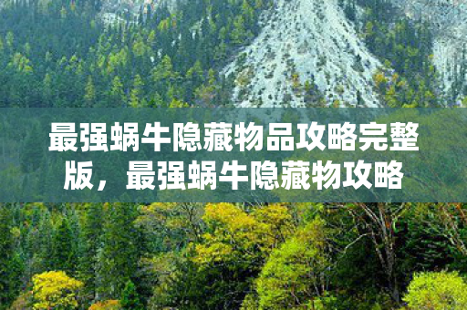 最强蜗牛隐藏物品攻略完整版，最强蜗牛隐藏物攻略