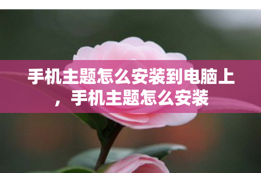 手机主题怎么安装到电脑上，手机主题怎么安装