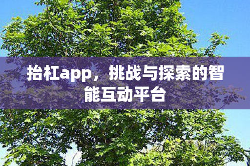 抬杠app，挑战与探索的智能互动平台