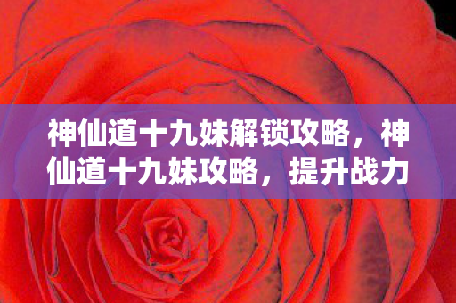 神仙道十九妹解锁攻略，神仙道十九妹攻略，提升战力与角色发展的全面指南