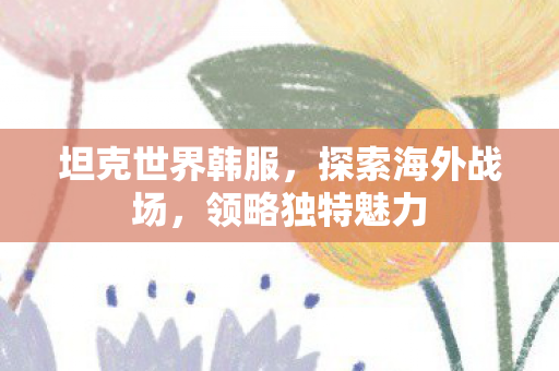 坦克世界韩服,探索海外战场,领略独特魅力 坦克世界韩服,探索海外战场,领略独特魅力