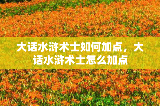 大话水浒术士如何加点，大话水浒术士怎么加点