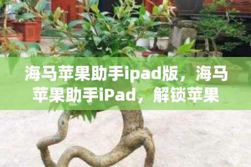 海马苹果助手ipad版，海马苹果助手iPad，解锁苹果应用的新选择