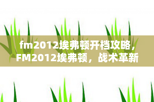 fm2012埃弗顿开档攻略，FM2012埃弗顿，战术革新与阵容调整的赛季展望