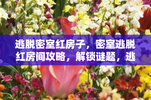 逃脱密室红房子，密室逃脱红房间攻略，解锁谜题，逃出神秘红房间