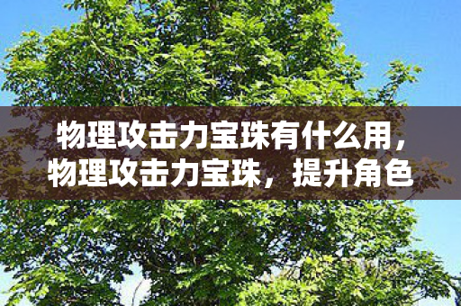 物理攻击力宝珠有什么用，物理攻击力宝珠，提升角色战斗力的关键