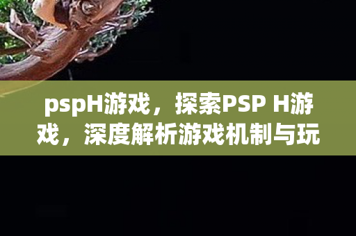 pspH游戏，探索PSP H游戏，深度解析游戏机制与玩家体验