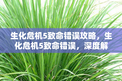 生化危机5致命错误攻略，生化危机5致命错误，深度解析与解决策略