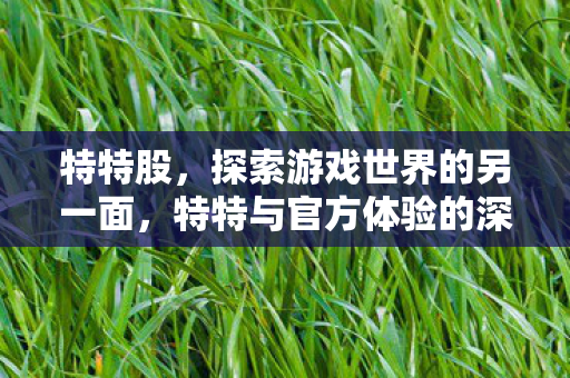 特特股，探索游戏世界的另一面，特特与官方体验的深度对比