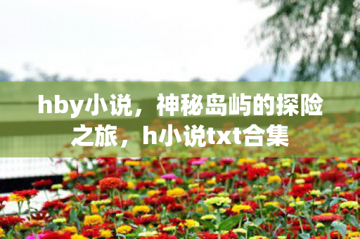 hby小说，神秘岛屿的探险之旅，h小说txt合集