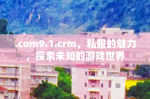 .com9.1.crm，私服的魅力，探索未知的游戏世界