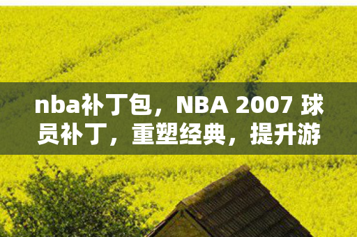 nba补丁包，NBA 2007 球员补丁，重塑经典，提升游戏体验