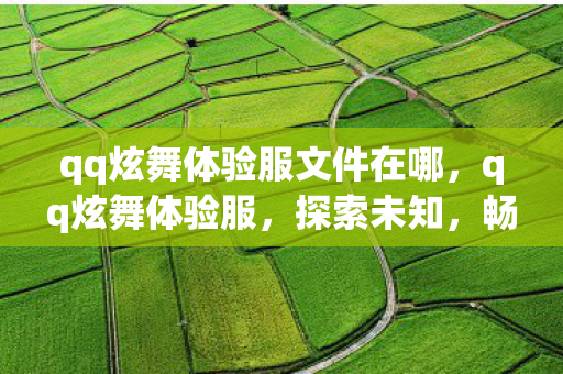 qq炫舞体验服文件在哪，qq炫舞体验服，探索未知，畅享游戏新体验