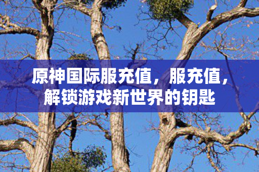 原神国际服充值，服充值，解锁游戏新世界的钥匙