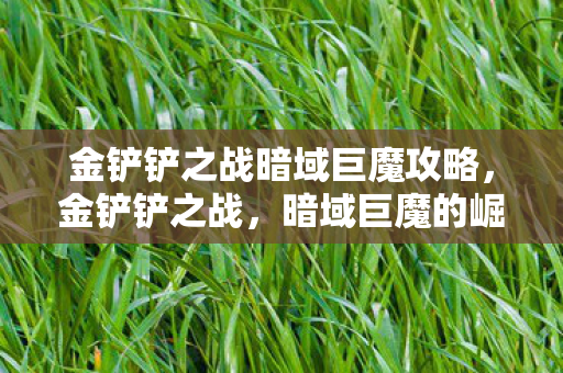 金铲铲之战暗域巨魔攻略，金铲铲之战，暗域巨魔的崛起与影响