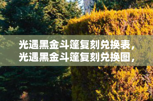 光遇黑金斗篷复刻兑换表，光遇黑金斗篷复刻兑换图，一场视觉与情怀的盛宴