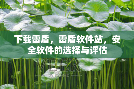 下载雷盾，雷盾软件站，安全软件的选择与评估