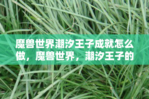 魔兽世界潮汐王子成就怎么做，魔兽世界，潮汐王子的传奇故事