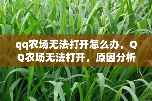 qq农场无法打开怎么办，QQ农场无法打开，原因分析与解决建议