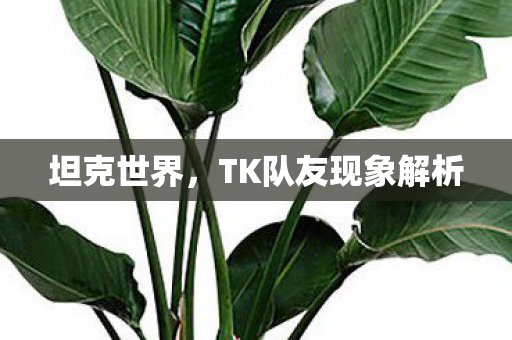 坦克世界，TK队友现象解析