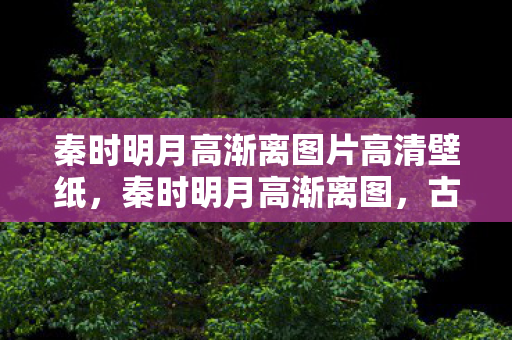 秦时明月高渐离图片高清壁纸，秦时明月高渐离图，古风雅韵中的琴音悠扬