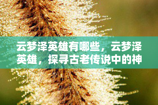 云梦泽英雄有哪些，云梦泽英雄，探寻古老传说中的神秘之地