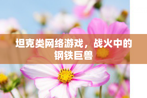 坦克类网络游戏，战火中的钢铁巨兽