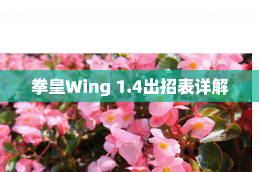 拳皇Wing 1.4出招表详解