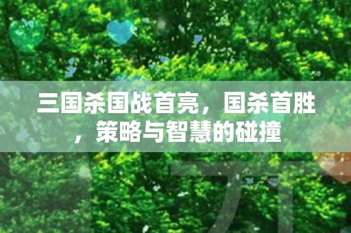 三国杀国战首亮,国杀首胜,策略与智慧的碰撞 三国杀国战首亮,国杀首胜,策略与智慧的碰撞