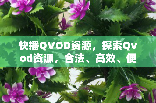 快播QVOD资源,探索Qvod资源,合法、高效、便捷的影视娱乐新选择 快播QVOD资源,探索Qvod资源,合法、高效、便捷的影视娱乐新选择