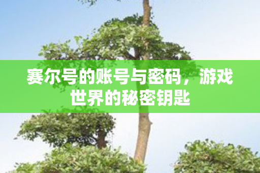 赛尔号的账号与密码,游戏世界的秘密钥匙 赛尔号的账号与密码,游戏世界的秘密钥匙